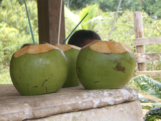 imgp4690.jpg